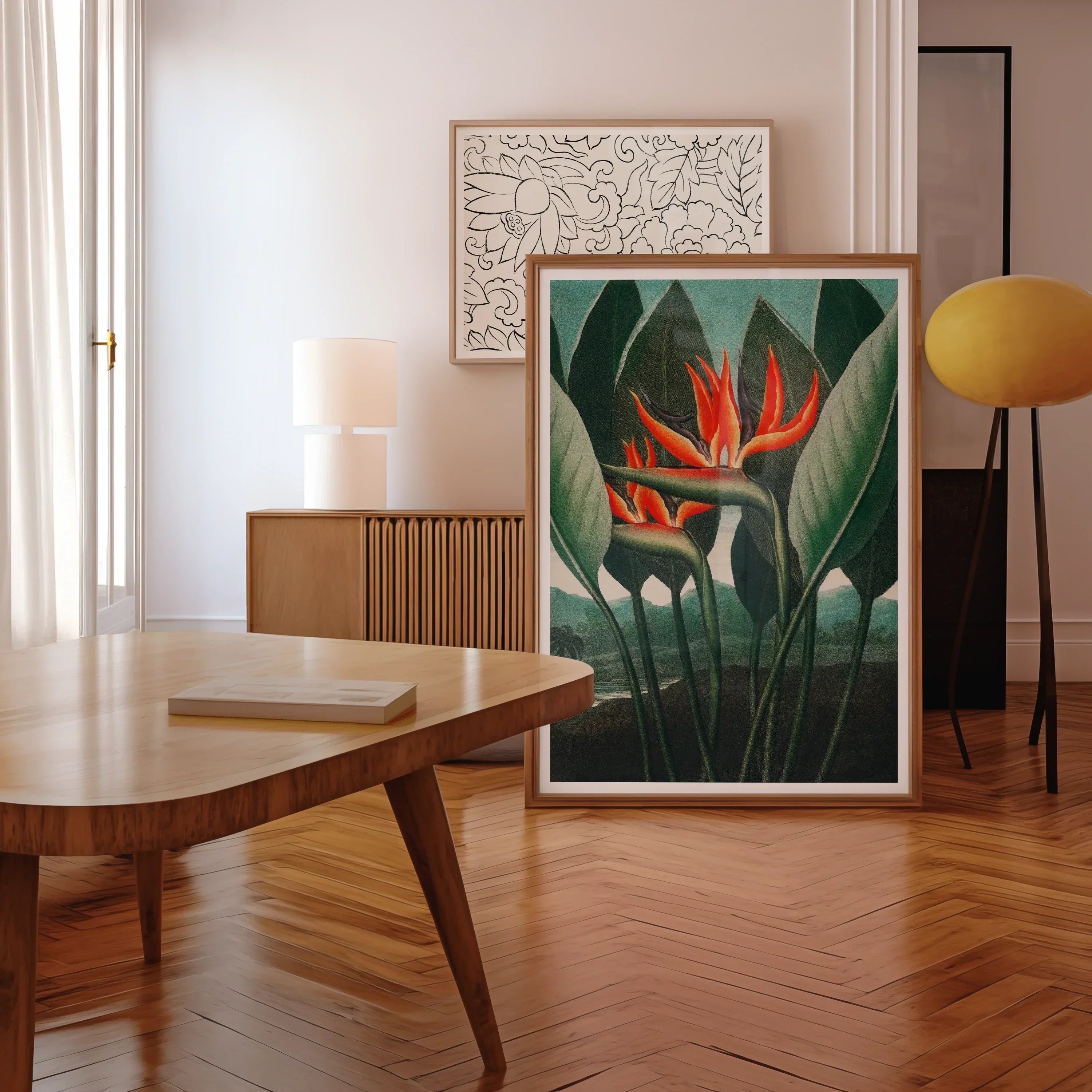 Queen Plant - Robert John Thornton Floral Art Print, Framed Botanical Print Vibrant Orange Bird Paradise Flowers