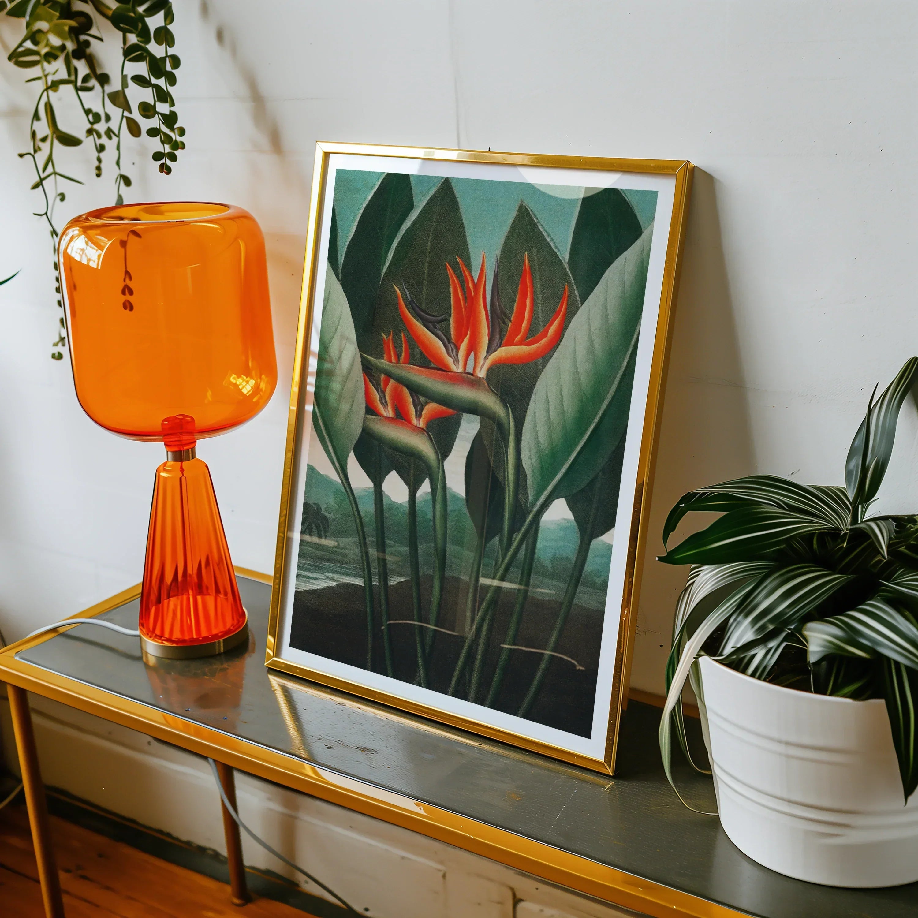 Queen Plant - Robert John Thornton Floral Art Print, Framed Botanical Print Vibrant Red Bird Paradise Flowers