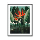 Queen Plant - Robert John Thornton Floral Art Print, Vibrant Orange Bird Paradise Flowers Green Leaves