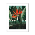 Queen Plant - Robert John Thornton Floral Art Print, Vibrant Orange Bird Paradise Flowers Green Leaves