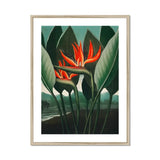 Queen Plant - Robert John Thornton Floral Art Print, Vibrant Orange Bird Paradise Flowers Green Leaves