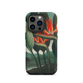 Queen Plant - Robert John Thornton Iphone Case, 14 Pro / Matte, Bird Paradise Flower Phone Case