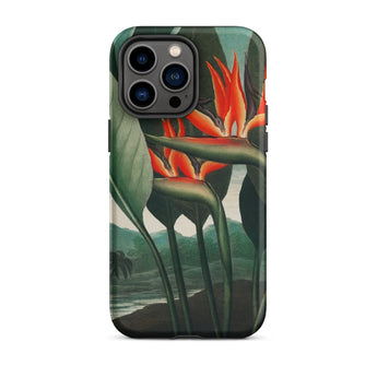 Queen Plant - Robert John Thornton Iphone Case, 14 Pro Max / Matte, Bird Paradise Flower Phone Case