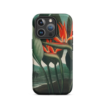 Queen Plant - Robert John Thornton Iphone Case, 16 Pro / Matte, Bird Paradise Flower Phone Case