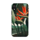 Queen Plant - Robert John Thornton Iphone Case, Xr / Matte, Bird Paradise Flower Phone Case