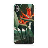 Queen Plant - Robert John Thornton Phone Case Iphone Xs Max / Matte Bird Paradise Flower Phone Case Queen Plant, Orange Bloom Thrusts,