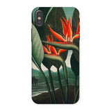Queen Plant - Robert John Thornton Phone Case Iphone x / Matte Bird Paradise Flower Phone Case Queen Plant, Orange Bloom Thrusts, Robert
