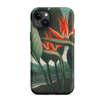 Queen Plant - Robert John Thornton Phone Case Iphone 15 Plus / Matte Bird Paradise Flower Phone Case Queen Plant, Orange Bloom Thrusts,