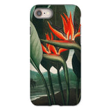 Queen Plant - Robert John Thornton Phone Case Iphone 8 / Matte Bird Paradise Flower Phone Case Queen Plant, Orange Bloom Thrusts, Robert