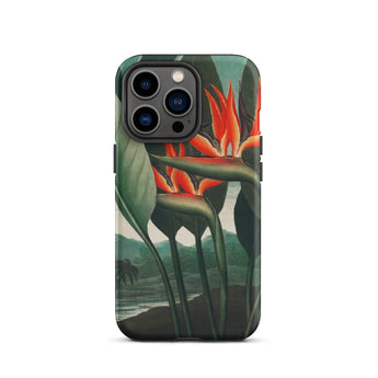 Queen Plant - Robert John Thornton Phone Case Iphone 13 Pro / Matte Bird Paradise Flower Phone Case Queen Plant, Orange Bloom Thrusts,