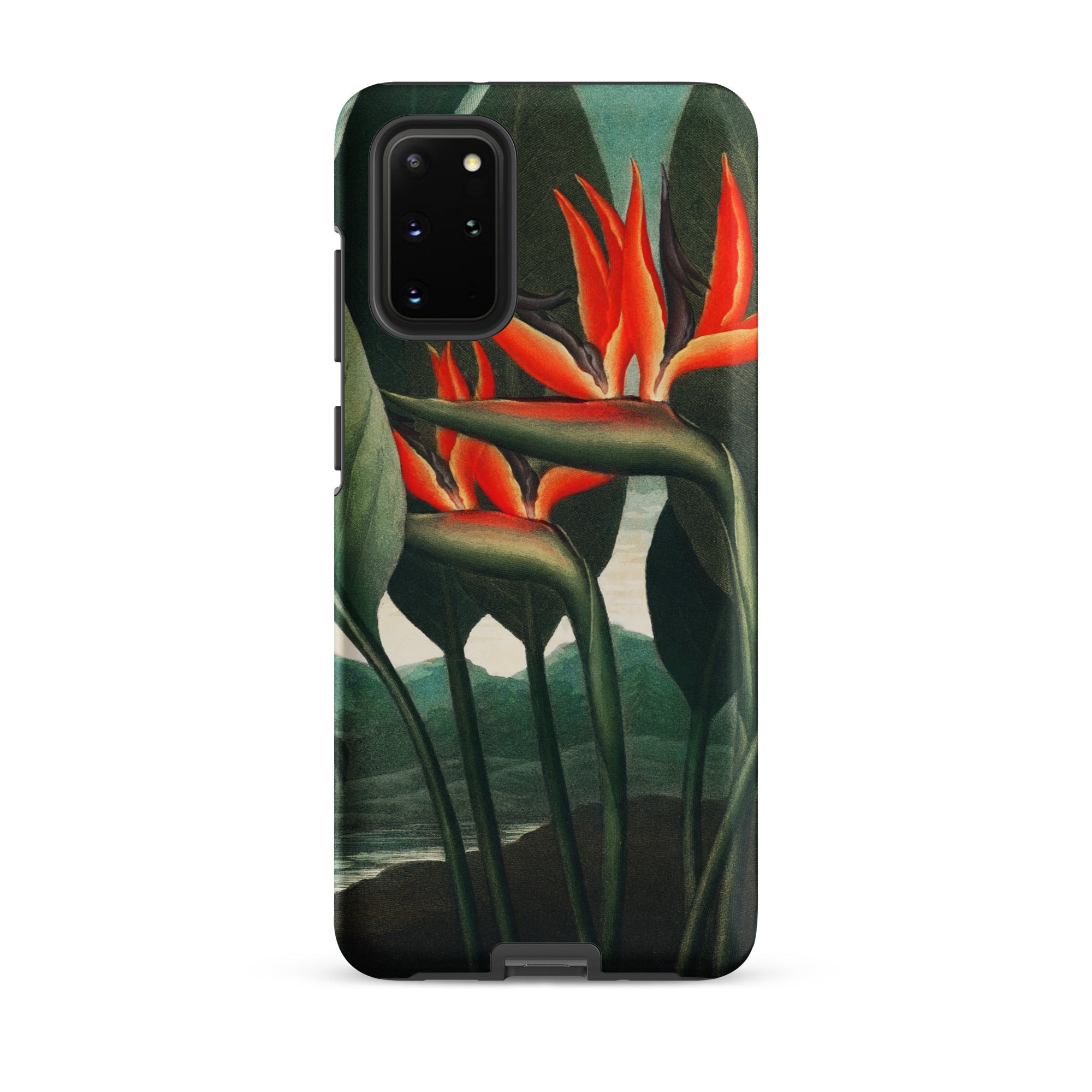 Queen Plant Robert John Thornton Samsung Case, Galaxy S20 Plus / Matte, Black Phone Case Vibrant Bird Paradise Flower Design