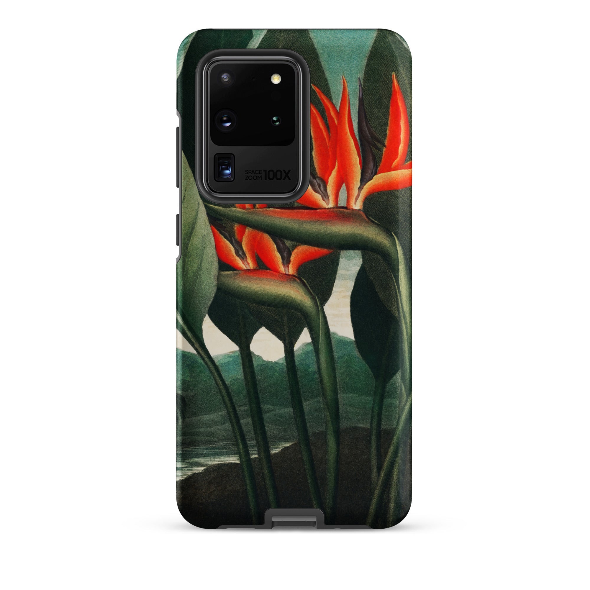 Queen Plant Robert John Thornton Samsung Case, Galaxy S20 Ultra / Matte, Black Smartphone Vibrant Bird Paradise Flower Design