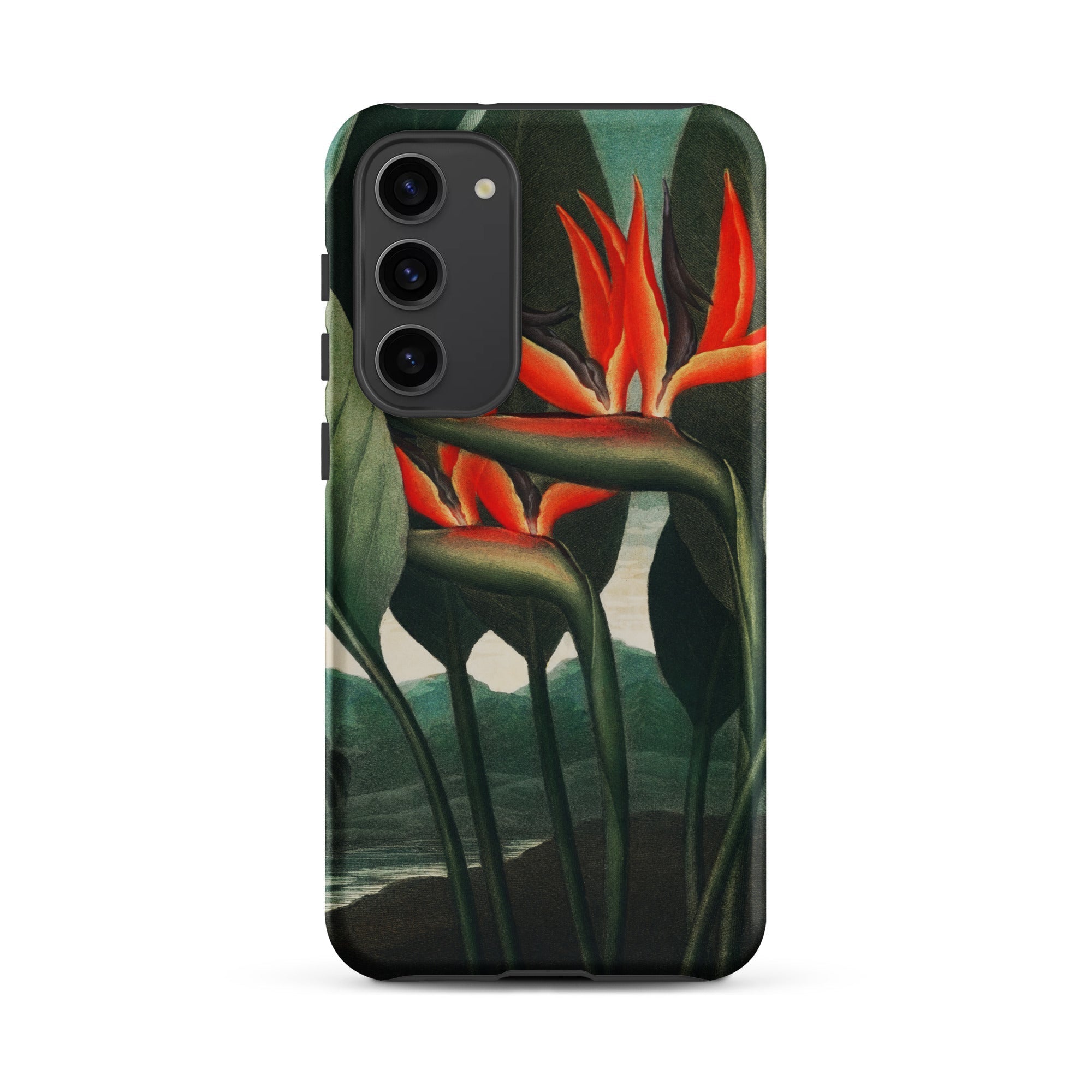 Queen Plant Robert John Thornton Samsung Case, Galaxy S23 Plus / Matte, Dark Smartphone Case Vibrant Bird Paradise Flower Design