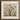 Framed Botanical Avian Illustration Central Tree Blossoms Lanterns Captivating Queer Menagerie, Alien Gay Bird, Taxonomy