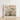 Framed Artwork Detailed Ornate Illustration Birds Blossoms Tree Queer Menagerie, Alien Gay Bird, 18th-century Scientific