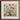 Framed Artwork Detailed Colorful Illustration Birds Flowers Ornate Queer Menagerie, Alien Gay Bird, 18th-century Scientific