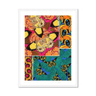 Rainbow Butterflies - E.a. Seguy Pochoir Art Print Posters Prints & Visual Artwork