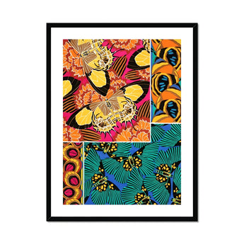 Rainbow Butterflies - E.a. Seguy Pochoir Art Print, Framed Artwork Vibrant Butterfly Tropical Leaf Patterns Color