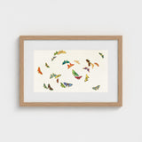 Rainbow Butterflies - Kamisaka Sekka Art Print / Canvas Framed Artwork Collection Colorful Intricately Designed Off-white, Sekka’s, Japan’s
