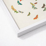 Rainbow Butterflies - Kamisaka Sekka Art Print / Canvas Framed Artwork Collection Colorful Intricately Designed Off-white, Sekka’s, Japan’s