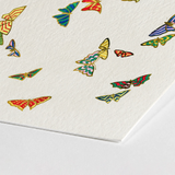 Rainbow Butterflies - Kamisaka Sekka Art Print / Canvas Sheet Textured White Paper Adorned Colorful Intricately Designed, Sekka’s, Japan’s