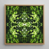 Reach out - Contemporary Botanical Op Art Framed Canvas, 12x12’’ / 31x31cm / Natural Floating Frame, Framed Green Abstract Plant Art Print