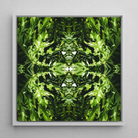 Reach out - Contemporary Botanical Op Art Framed Canvas, Symmetrical Green Leaf Pattern White Frame