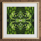 Reach out - Stampa d'Arte Contemporanea Botanica Op, 12x12’’ / 31x31cm / Cornice Naturale / 2’’ Passepartout, Poster Stampe & Opera Visiva, Toby