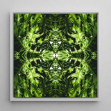 Reach out - Contemporary Botanical Op Art Print / Canvas, 12x12’’ / 31x31cm / White Frame, Posters Prints & Visual Artwork, Toby Leon