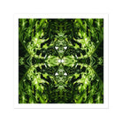 Reach out Contemporary Botanical Op Art Print, Symmetrical Kaleidoscopic Pattern Created Mirrored Green Foliage