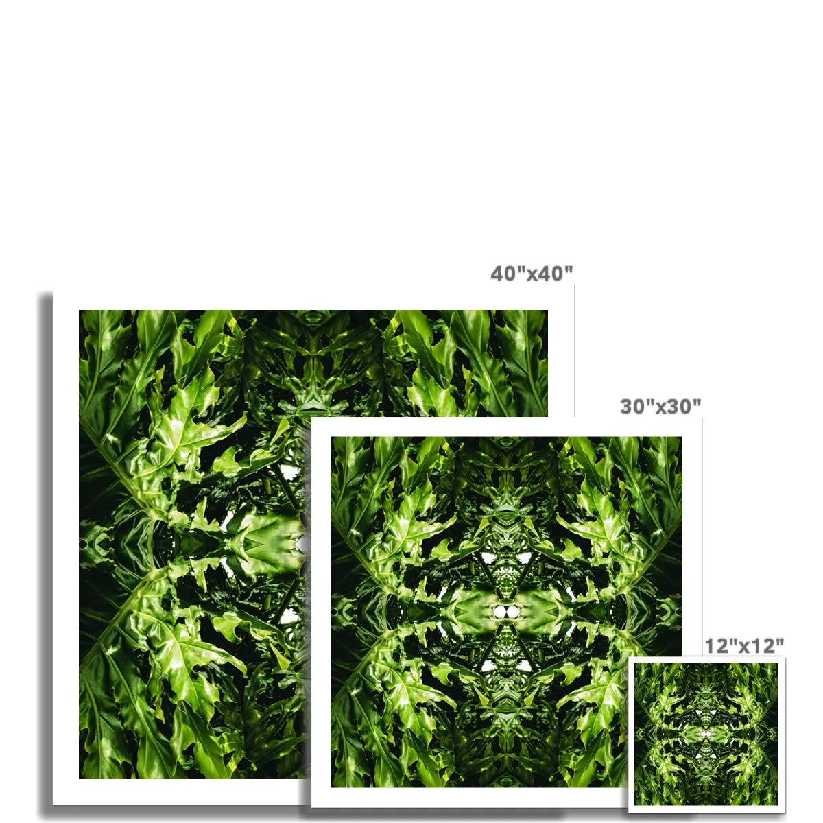 Reach Out Leaf Art Print - Mirrored Modern Botanicals - Posters Prints & Visual Artwork - Aesthetic Art