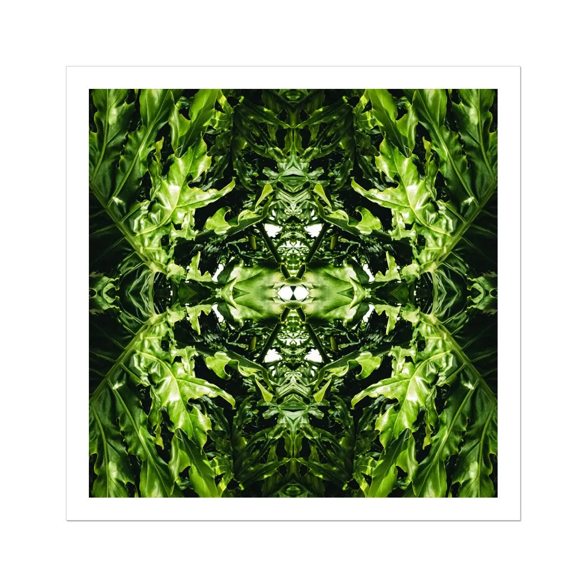 Reach Out Leaf Art Print - Mirrored Modern Botanicals - 30’x30’ - Posters Prints & Visual Artwork - Aesthetic Art