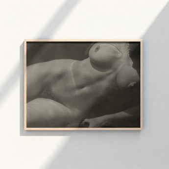 Minimalist Wooden-framed Black-and-white Art Print Nude Female Figure Rebecca Salsbury Strand, Alfred Stieglitz, Sensual Shadows