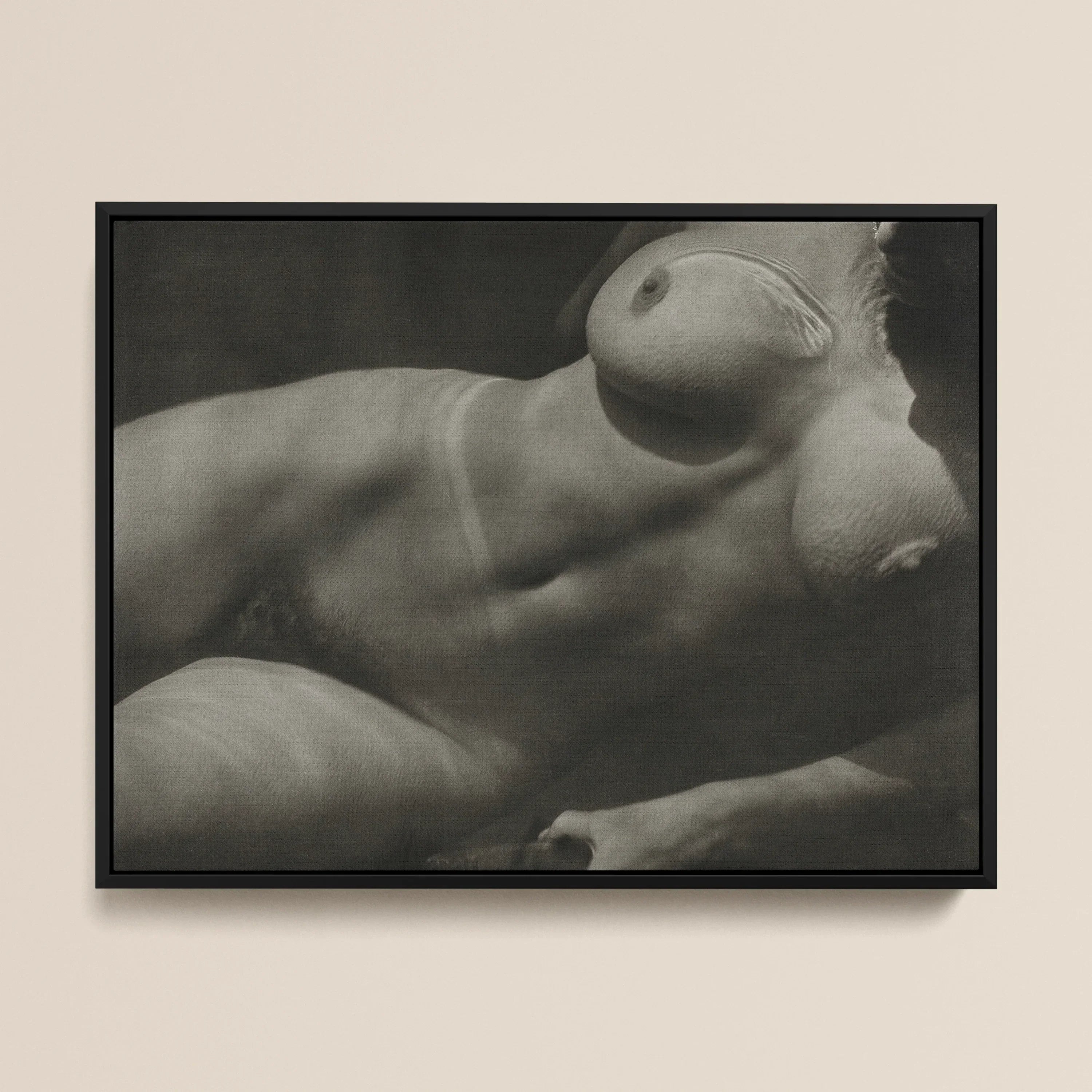 Rebecca Salsbury Strand Alfred Stieglitz Framed Canvas, Partial View Nude Female Torso Breast Abdomen