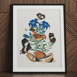 red avadavat, gentian, swallowtail, shells