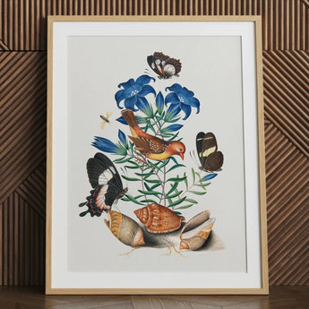 red avadavat bird, gentian flowers, swallowtail butterflies & shells.