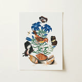Red Avadavat Gentian Sawfly Swallowtail and Shells - James Bolton Art Print / Canvas, 12x16’’ / 31x41cm / Unframed / no Border, Posters