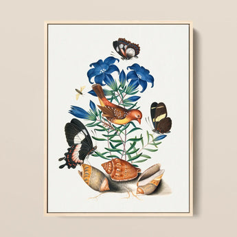Red Avadavat Gentian Sawfly Swallowtail and Shells - James Bolton Art Print / Canvas Framed Botanical Illustration Vibrant Orange Yellow