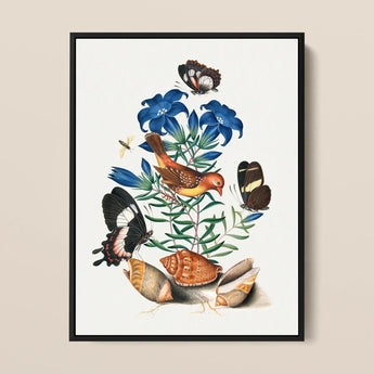 Red Avadavat Gentian Sawfly Swallowtail and Shells - James Bolton Art Print / Canvas Framed Botanical Illustration Vibrant Orange Yellow