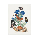 Red Avadavat Gentian Sawfly Swallowtail and Shells - James Bolton Art Print, Colorful Botanical Illustration Red Bird Among Blue Flowers