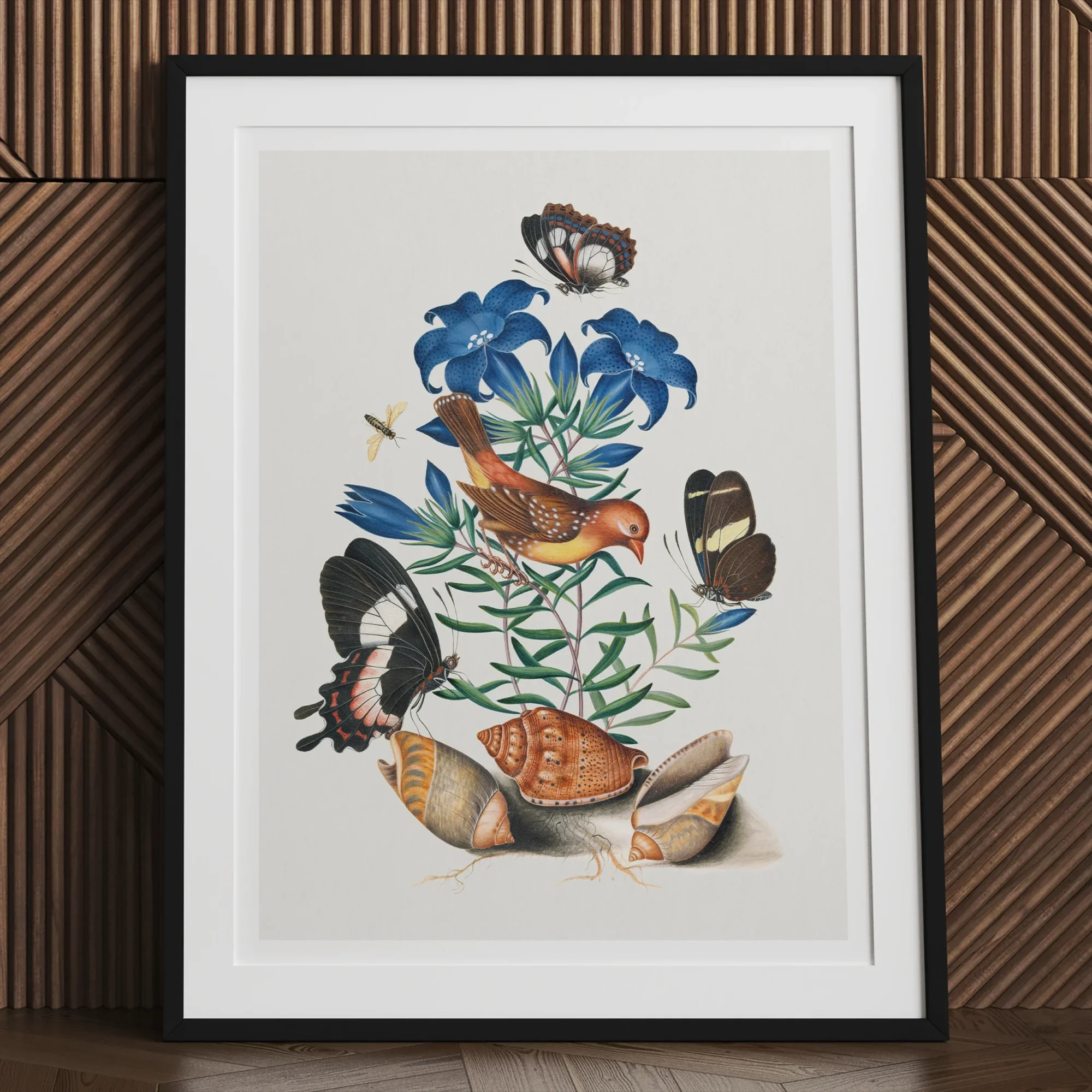 Red Avadavat Gentian Sawfly Swallowtail and Shells - James Bolton Art Print, Framed Botanical Print Blue Flowers Birds Butterflies Colorful