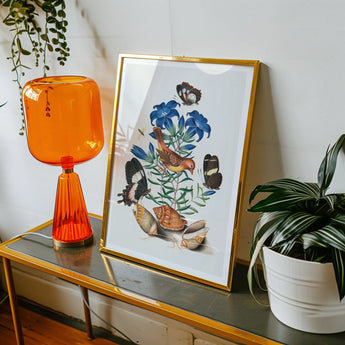 Red Avadavat Gentian Sawfly Swallowtail and Shells - James Bolton Art Print, Framed Watercolor Painting Blue Flowers Butterflies Seashells