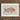 Framed Illustration Pinkish-red Fish Detailed Fins Scales Presented Luigi Balugani, Balugani’s Red Snapper, Sea
