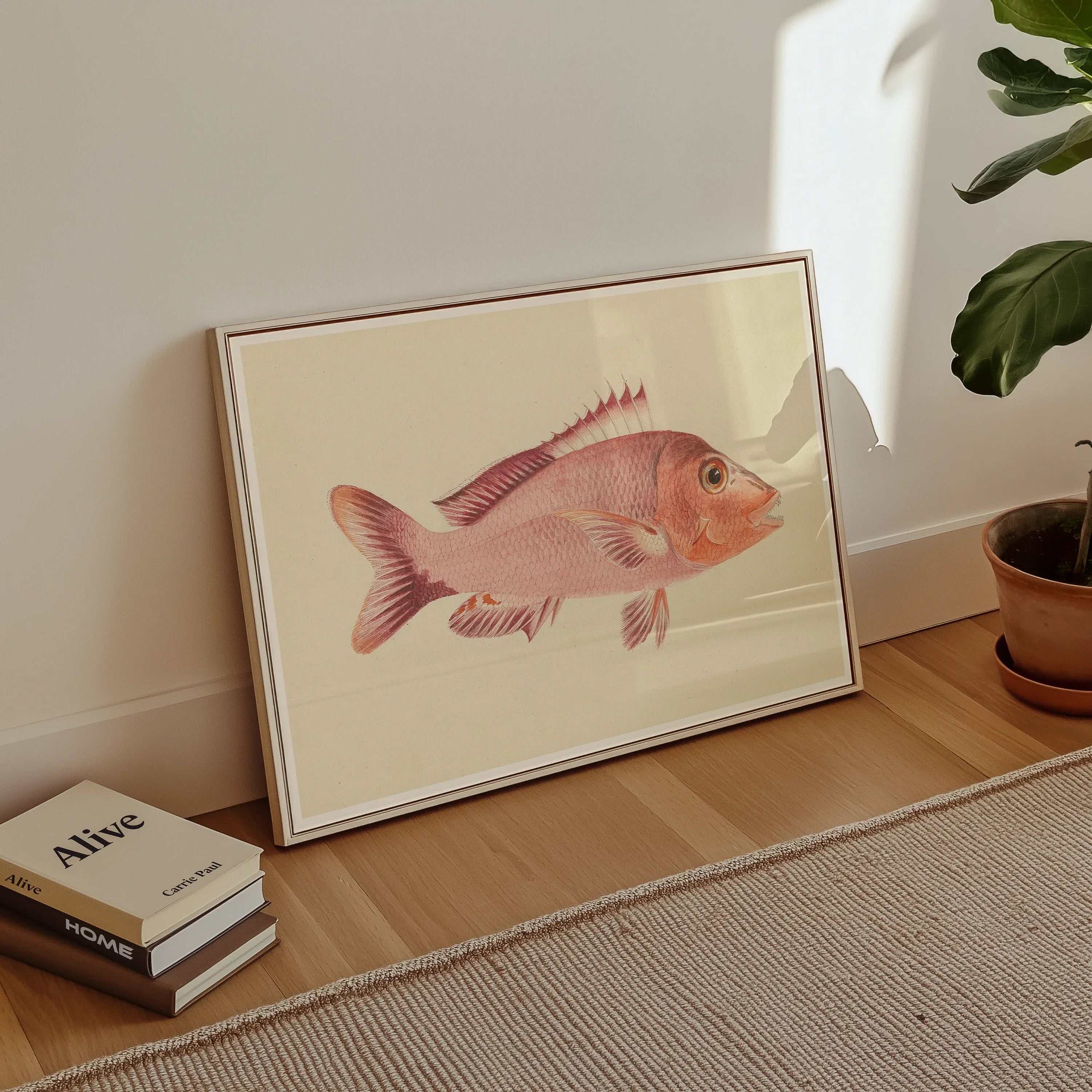 Red Snapper - Luigi Balugani Sea Life Art Print