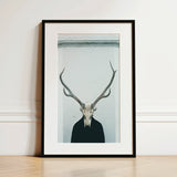 Black-framed Art Print Stark Black-and-white Deer Skull Prominent Figure Stands