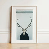 Minimalist White-framed Art Print Stark Black-and-white Deer Skull Figure Stands