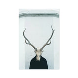 Ritual Fine Art Print, Deer Skull Antlers Mounted Dark Shapeless Form Light