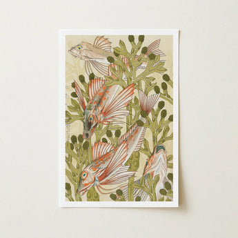 Rouget - Maurice Pillard Verneuil Art Nouveau Print / Canvas Framed Illustration Three Fish Translucent Orange White Fins Auguste Racinet,