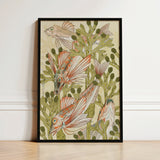 Framed Artwork Intricately Illustrated Fish Orange White Fins Auguste Racinet, Maurice Pillard Verneuil, Art Nouveau Print