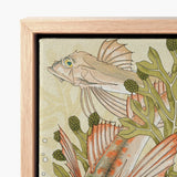 Framed Canvas Print Detailed Illustration Lionfish Vibrant Orange Auguste Racinet, Maurice Pillard Verneuil, Art Nouveau Fish